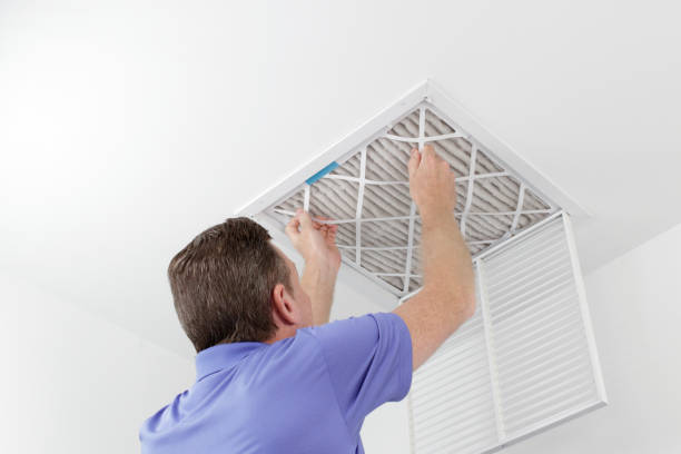 Best Air Filter Replacement Services in Mount Pleasant, TN